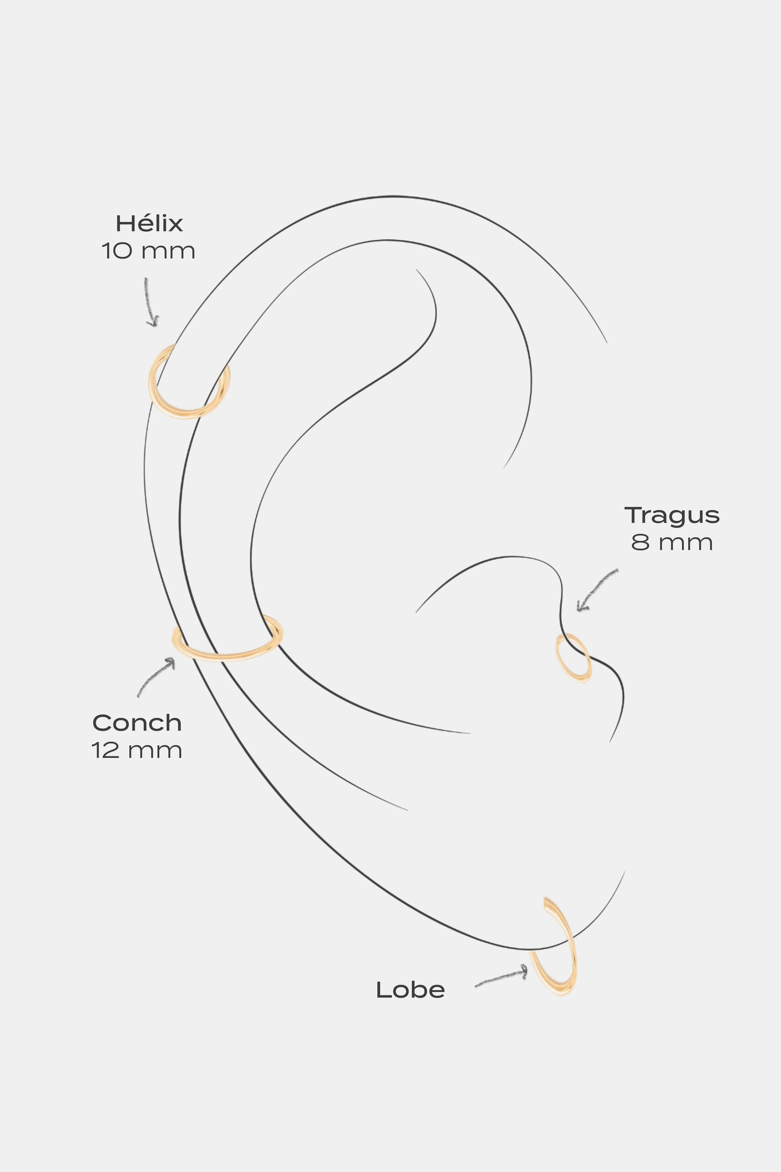 Piercing Diana - Or 750‰ - Image 11