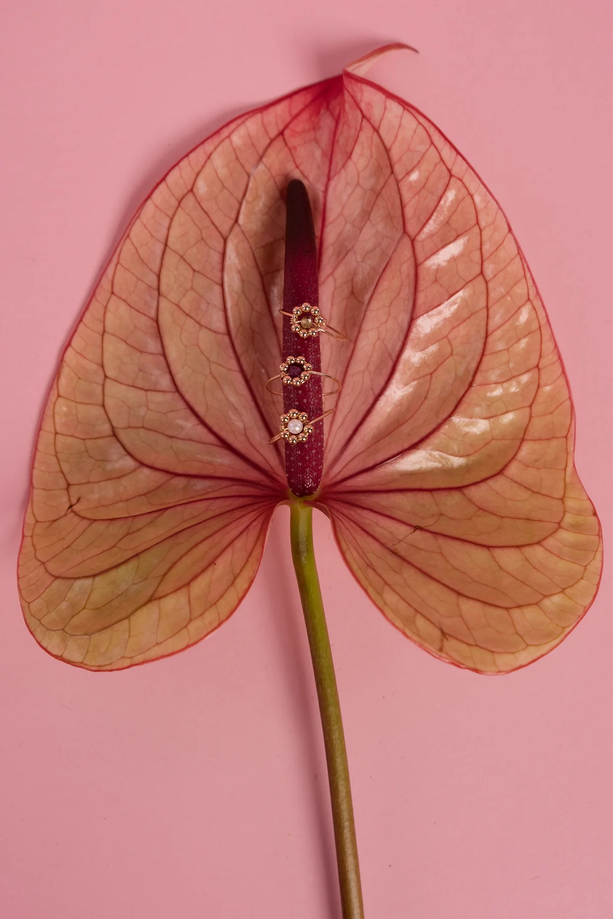 Bague Daisy - Rubis - Image 5