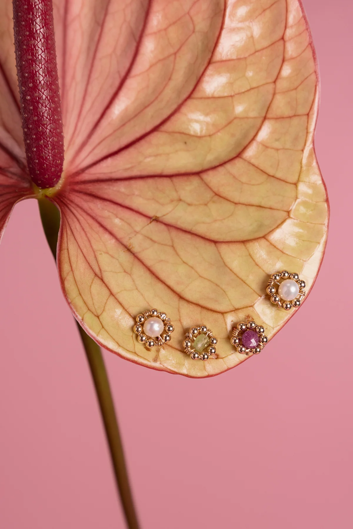 Puces Daisy - Rubis - Image 3